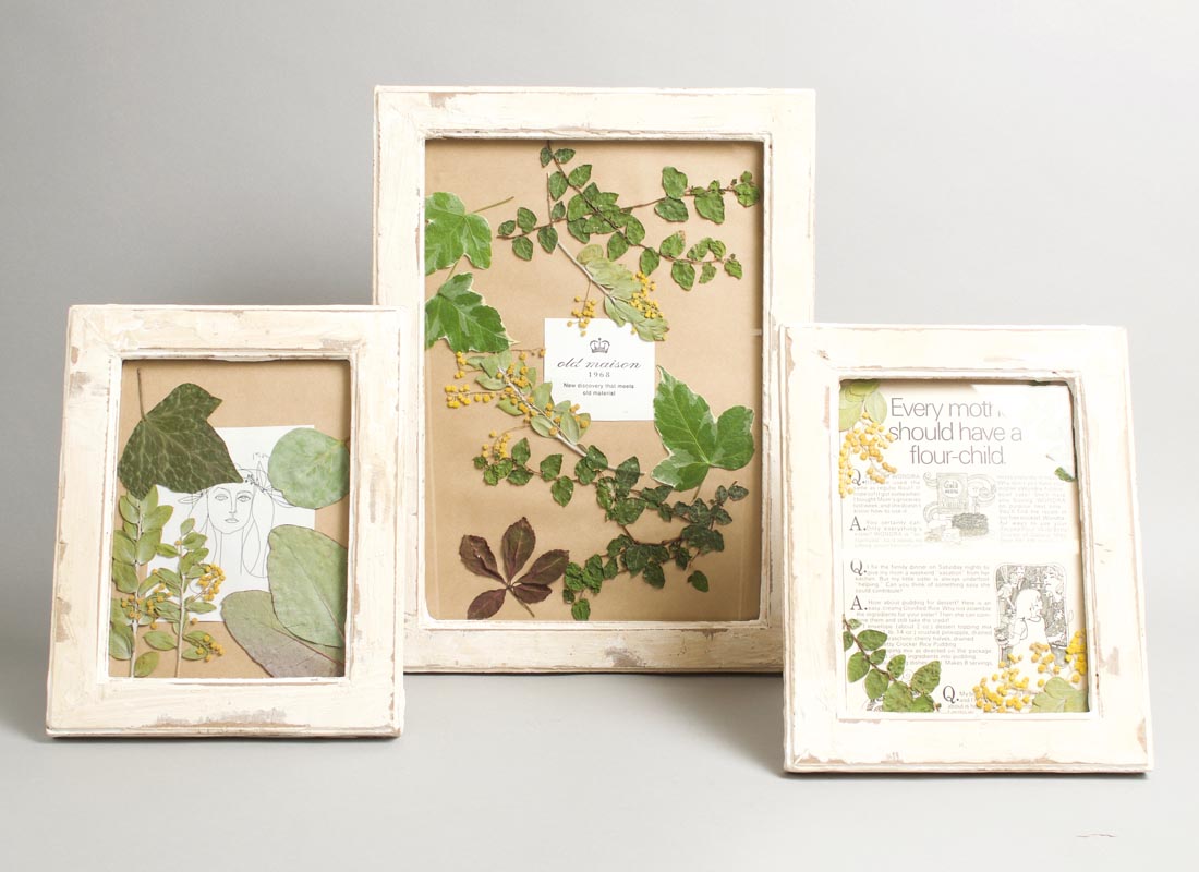 FRAME & DRY FLOWER
