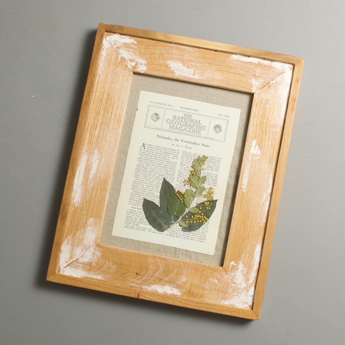 FRAME & DRY FLOWER