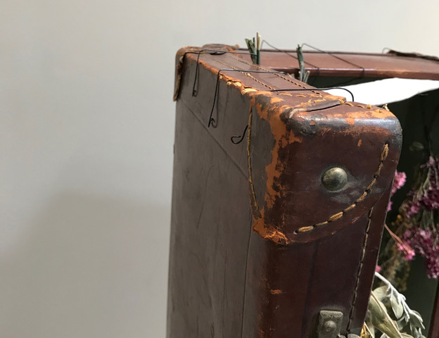 TRUNK DISPLAY